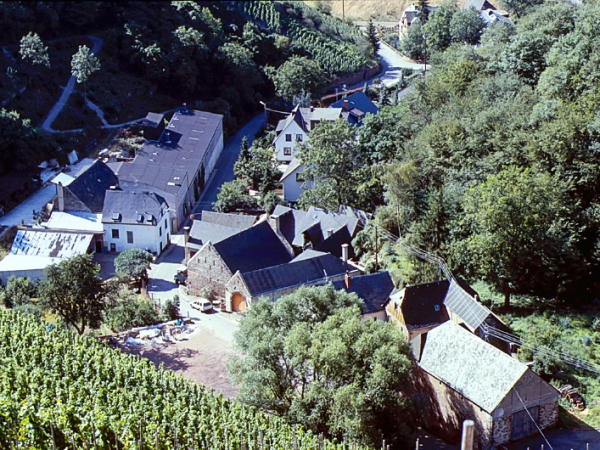Die Wasserwelt der 9 Mühlen