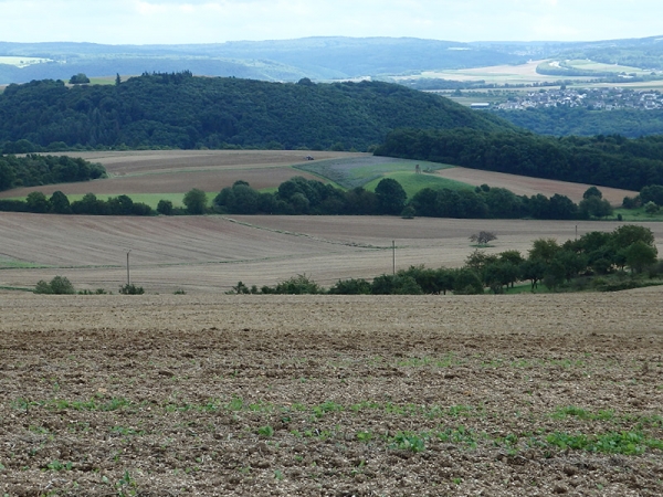 Höchster Berg von Kobern